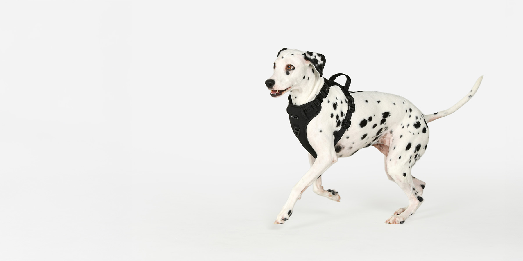 🛍️ Puppia World — dog accessories & apparel